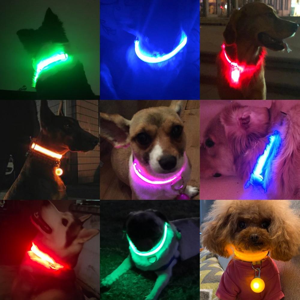 Coleira para  Cães - LED (USB) - Nannyvarie