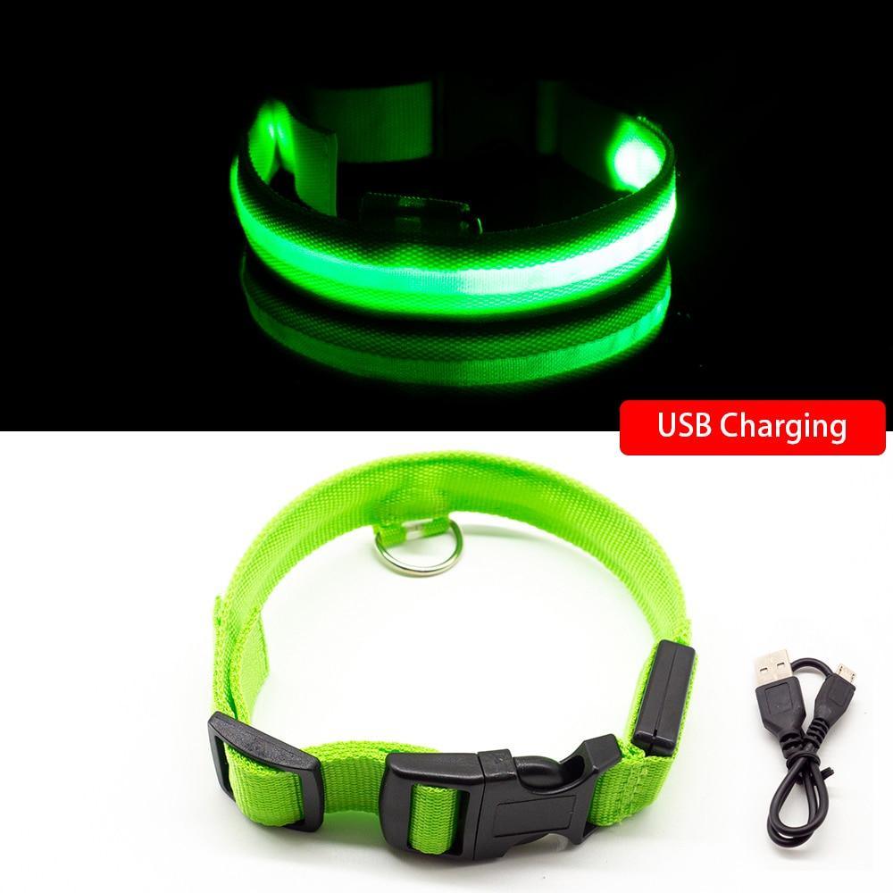 Coleira para  Cães - LED (USB) - Nannyvarie